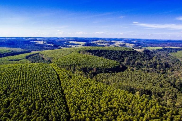 Eucatex adota dupla materialidade em seu Relato Integrado 2025 e reforça elo entre sustentabilidade e crescimento financeiro