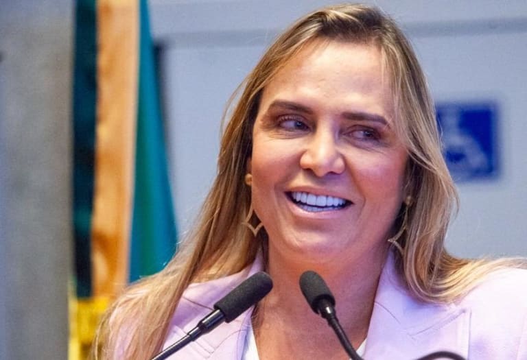 MPE apoia investigação sobre uso de ônibus escolares na campanha de Celina Leão