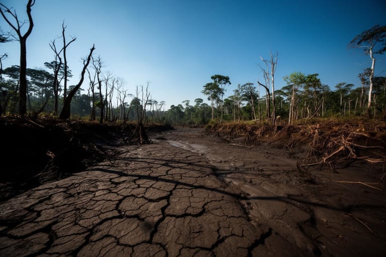 Estudo aponta que 38% das áreas habitadas na Amazônia sofreram com seca severa