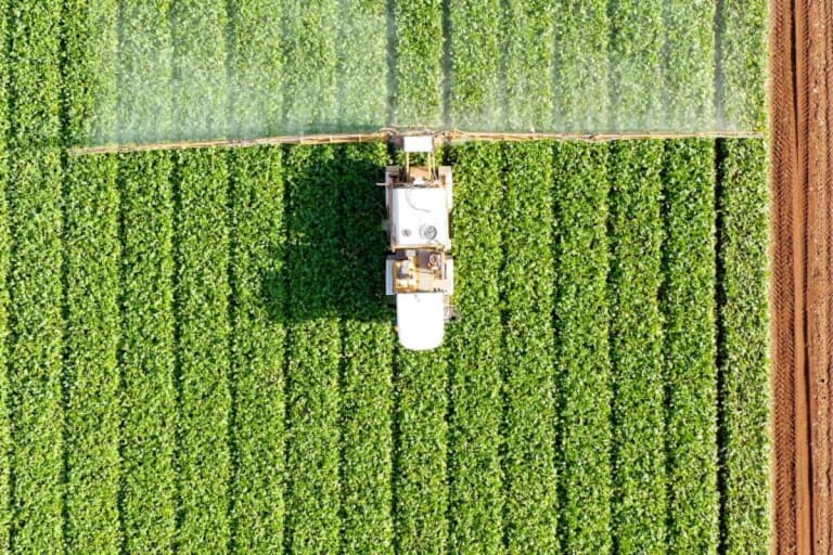 Programa Profert exige mistura de fertilizantes nacionais para reduzir dependência de importações