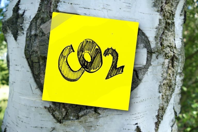 Brasil amplia coalizão por mercados de carbono e mira emergentes