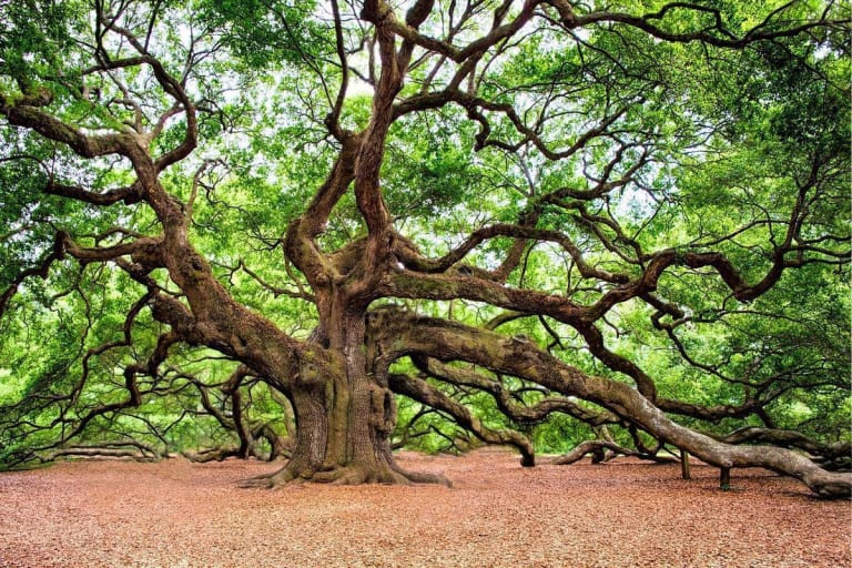 Alemanha investirá milhões na primeira usina de metanol verde no Espírito Santo