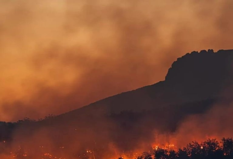 Mudanças climáticas podem custar 38 trilhões de dólares à economia global até 2050