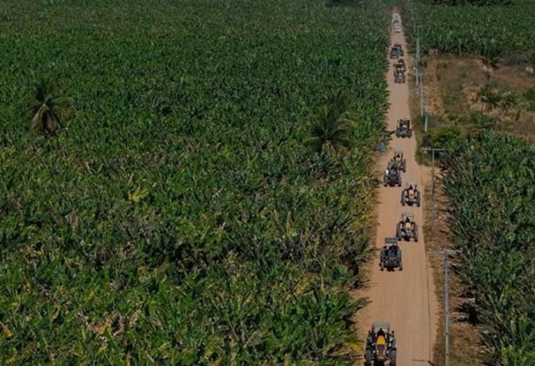 Expedição Valtra impulsiona mecanização e diversificação na bananicultura baiana