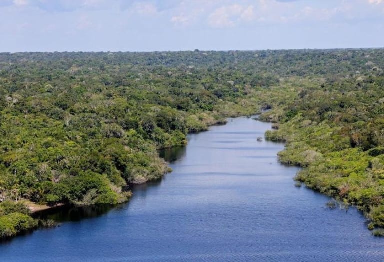 BNDES destina 200 milhões para restaurar milhares de hectares de floresta na Amazônia