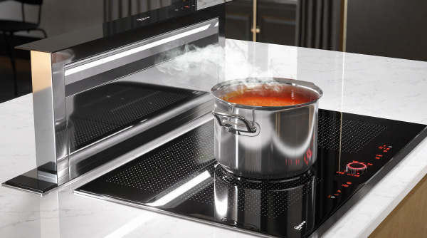 Induction hob and downdraft