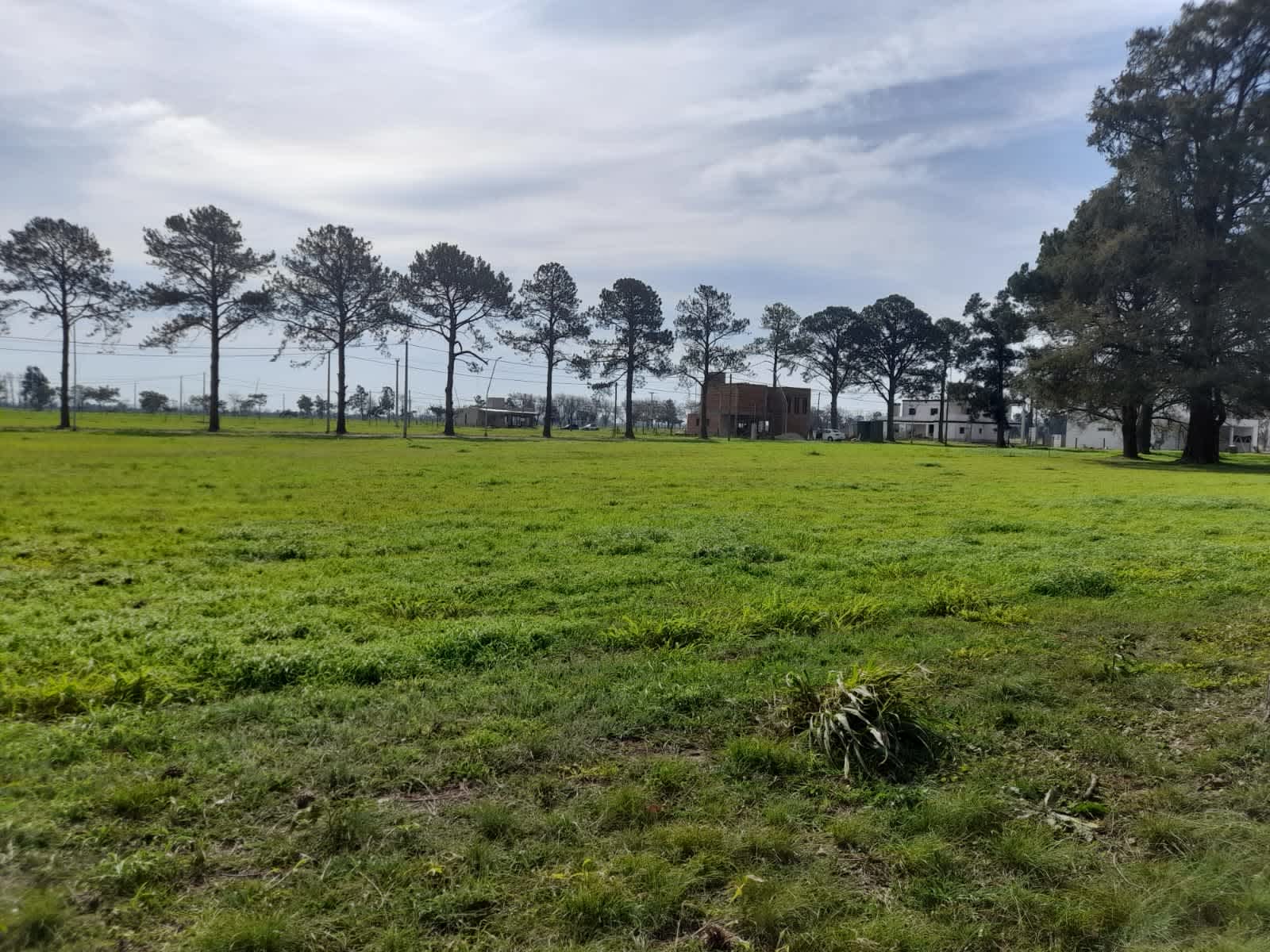 Terreno en Compra/Venta