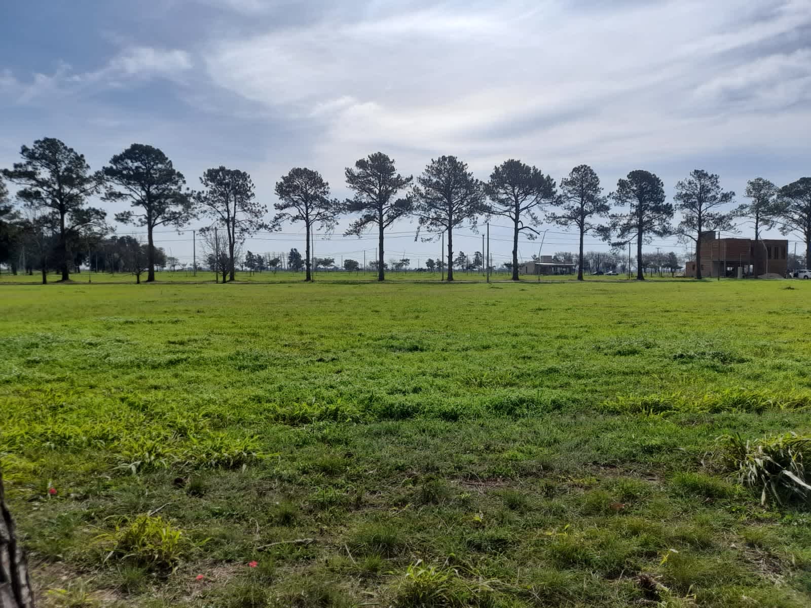 Terreno en Compra/Venta