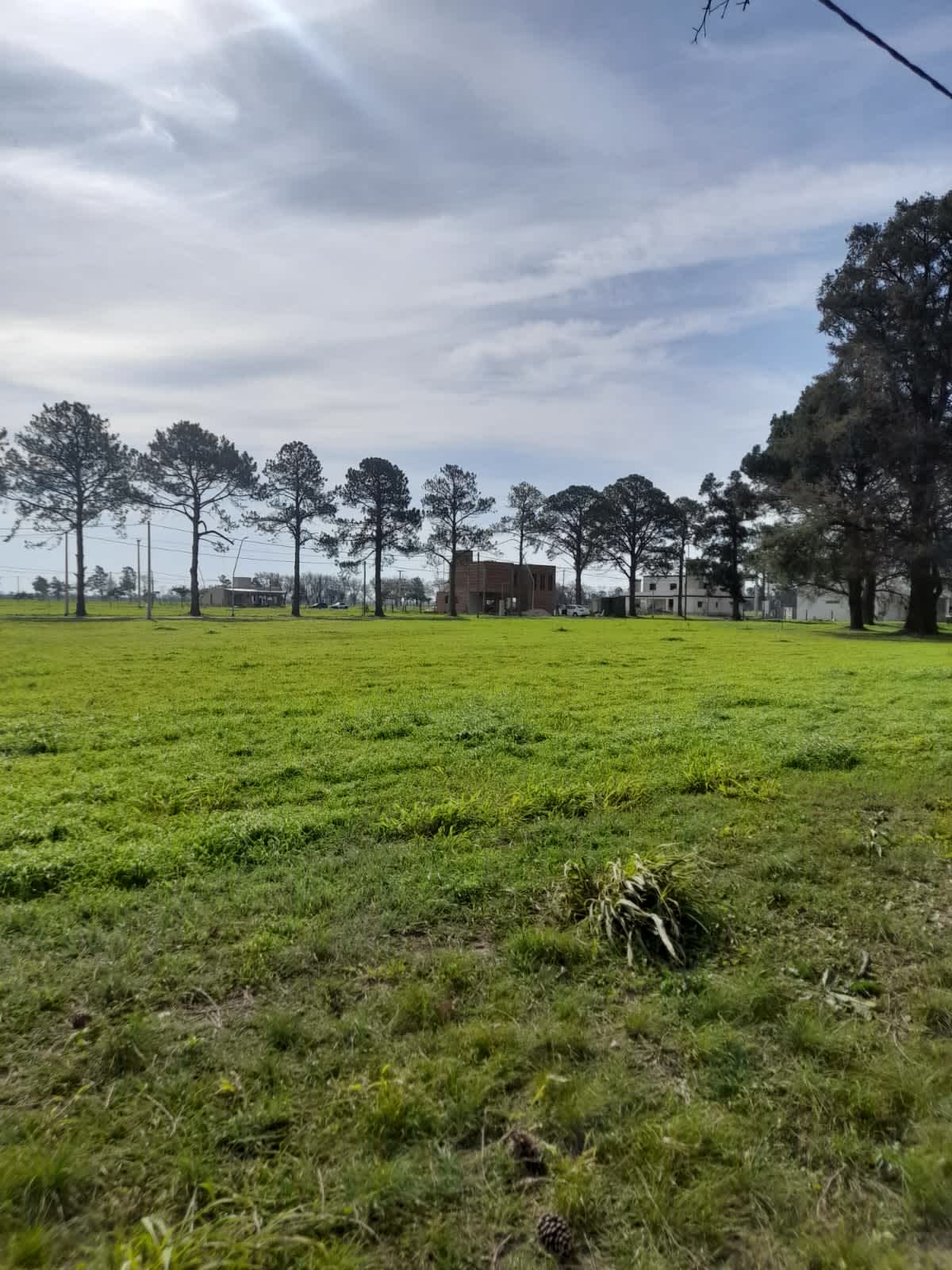 Terreno en Compra/Venta