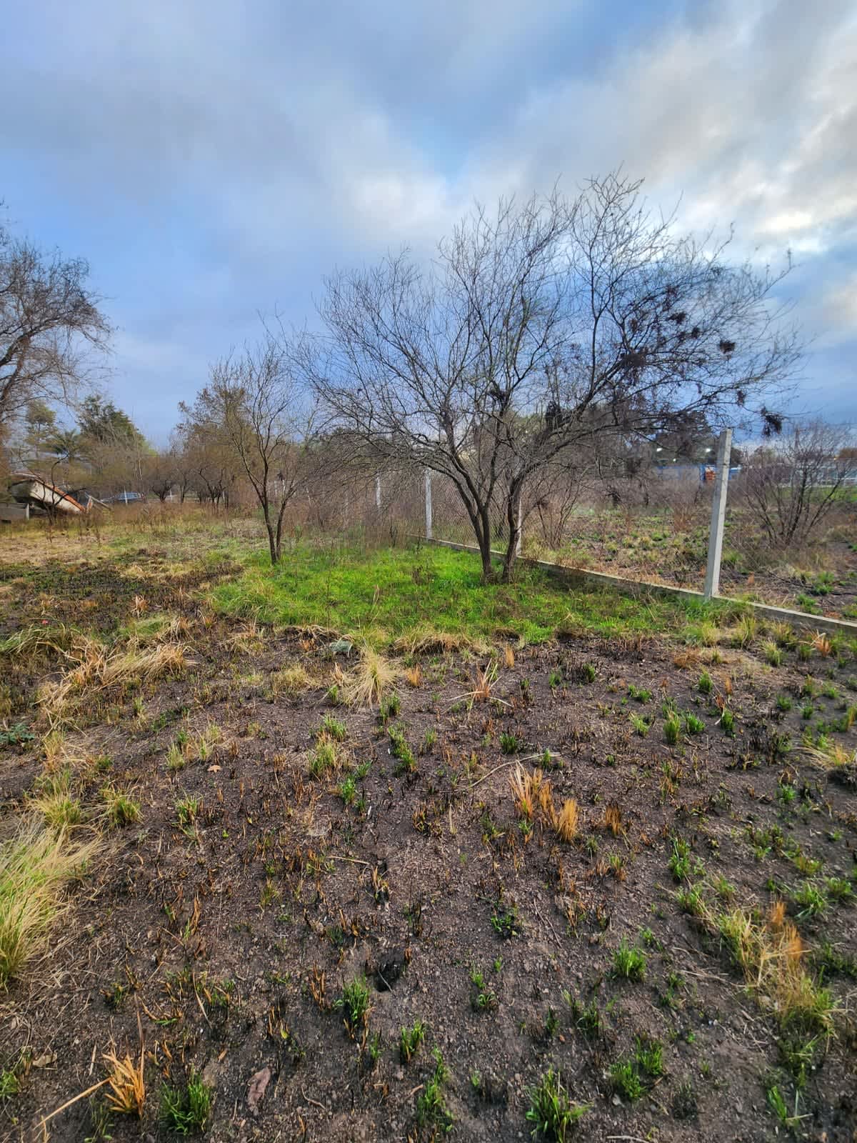 Terreno en Compra/Venta