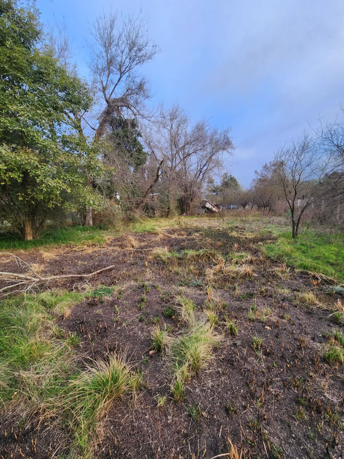 Terreno en Compra/Venta