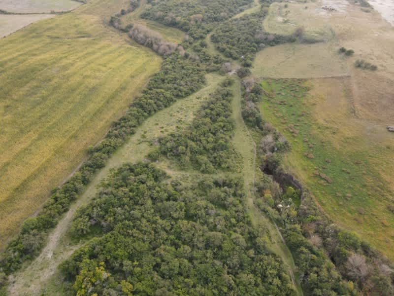 Campo en Compra/Venta