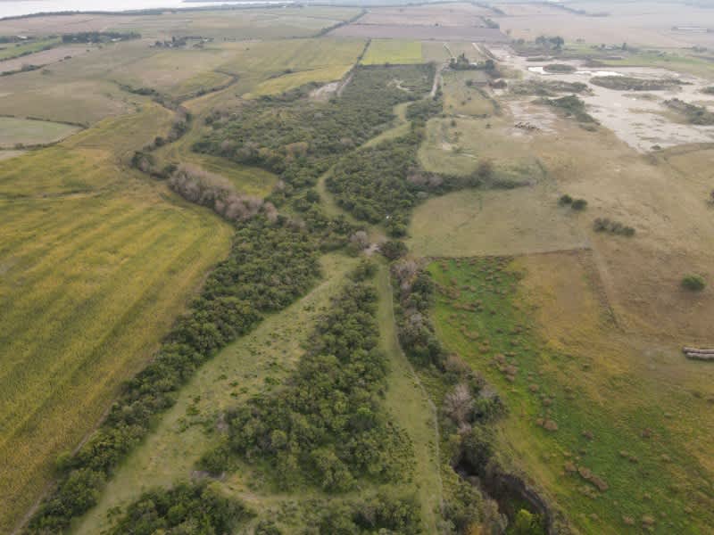 Campo en Compra/Venta