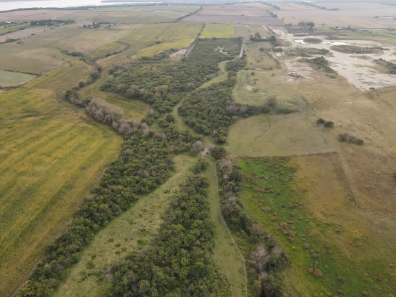 Campo en Compra/Venta
