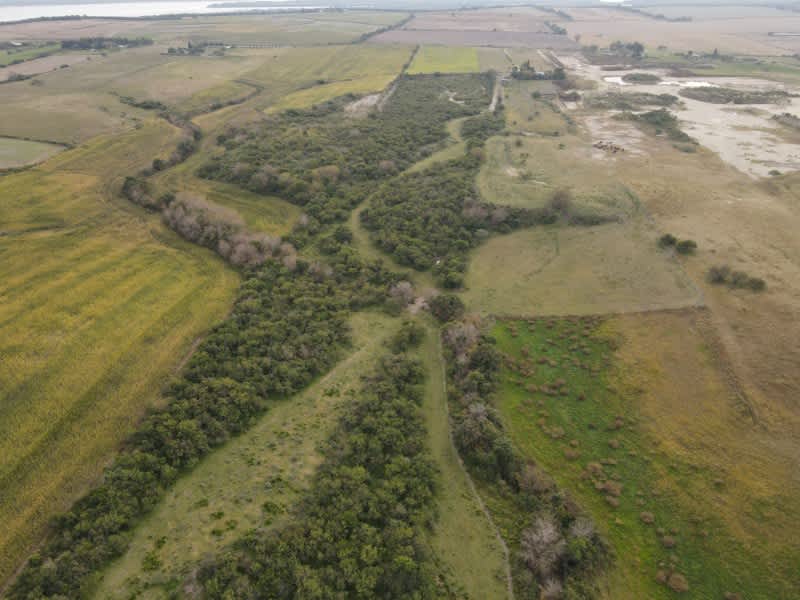 Campo en Compra/Venta