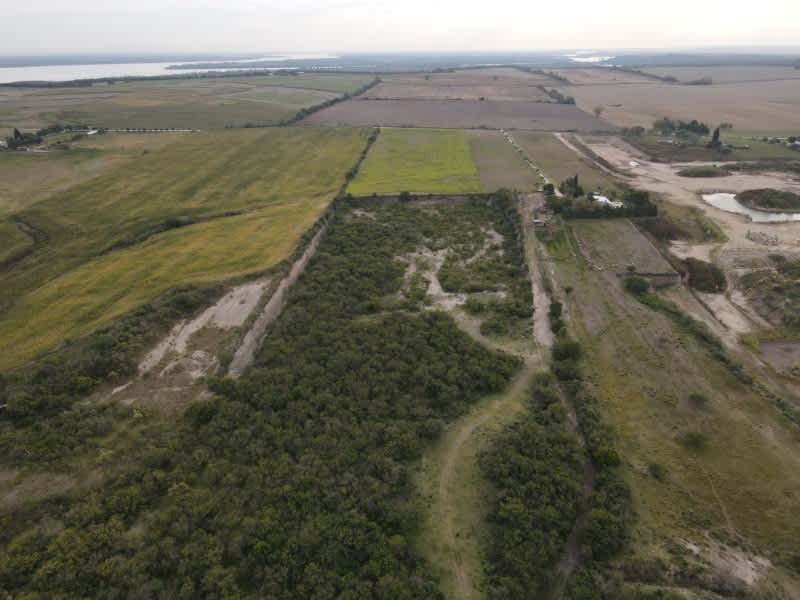 Campo en Compra/Venta