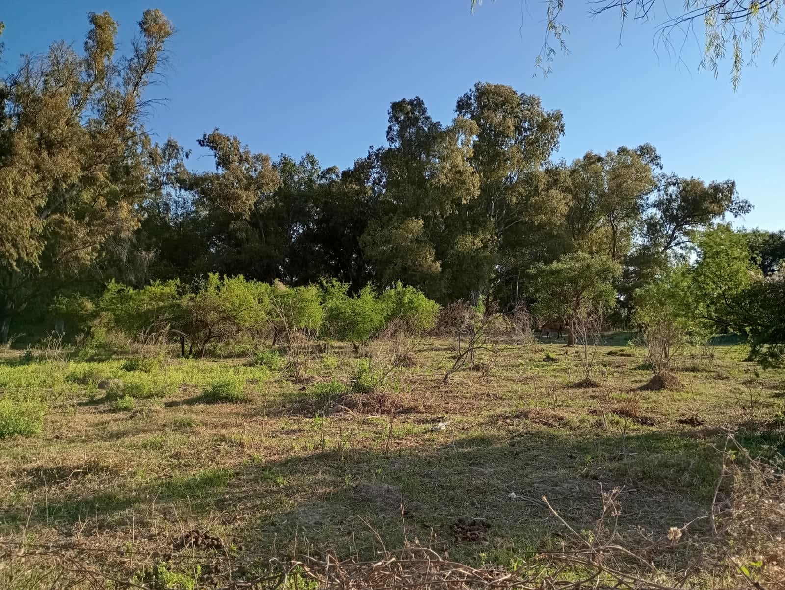 Terreno en Compra/Venta