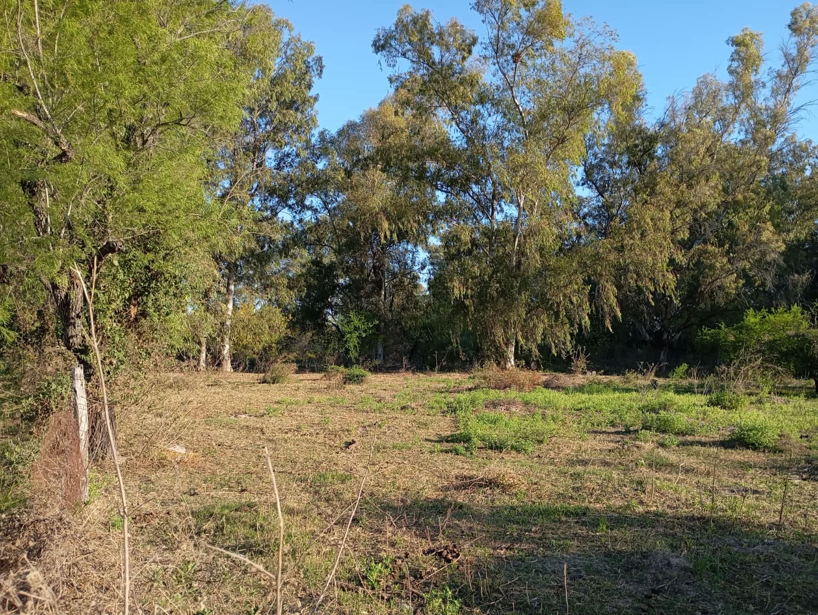 Terreno en Compra/Venta