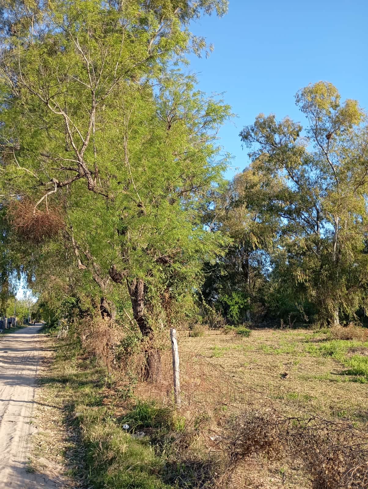 Terreno en Compra/Venta