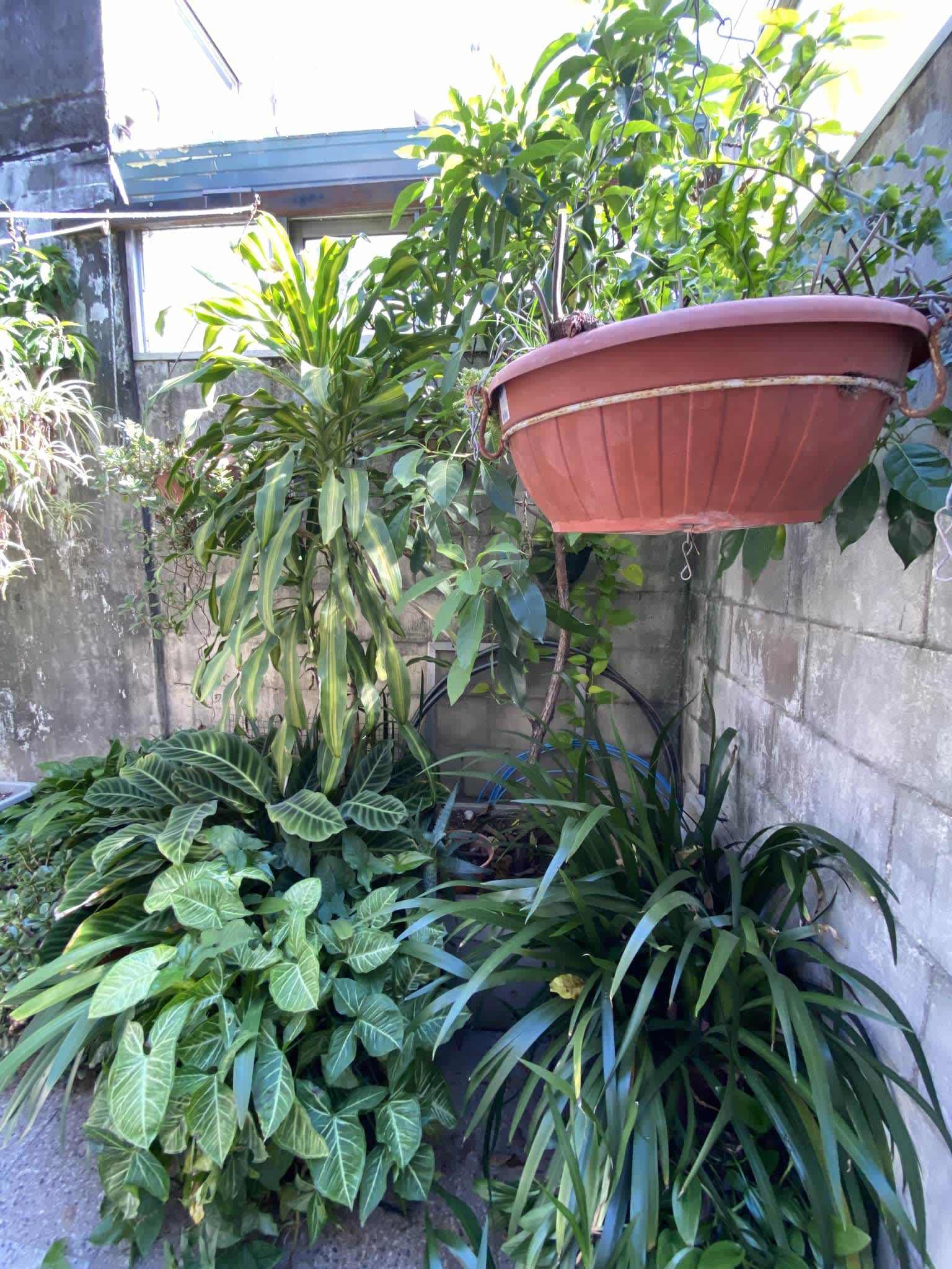 Casa en Compra/Venta