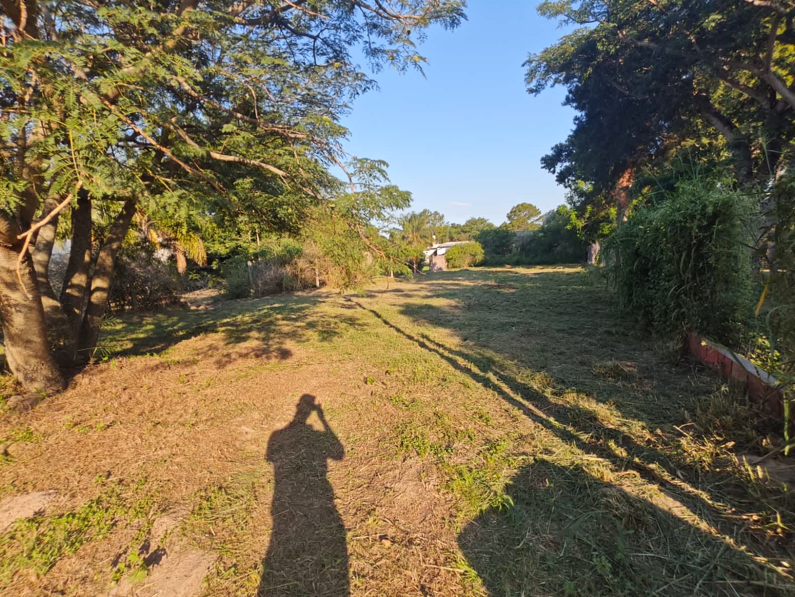 Terreno en Compra/Venta