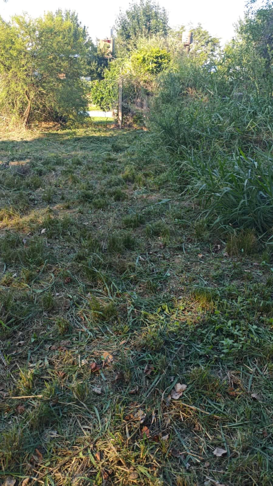 Terreno en Compra/Venta