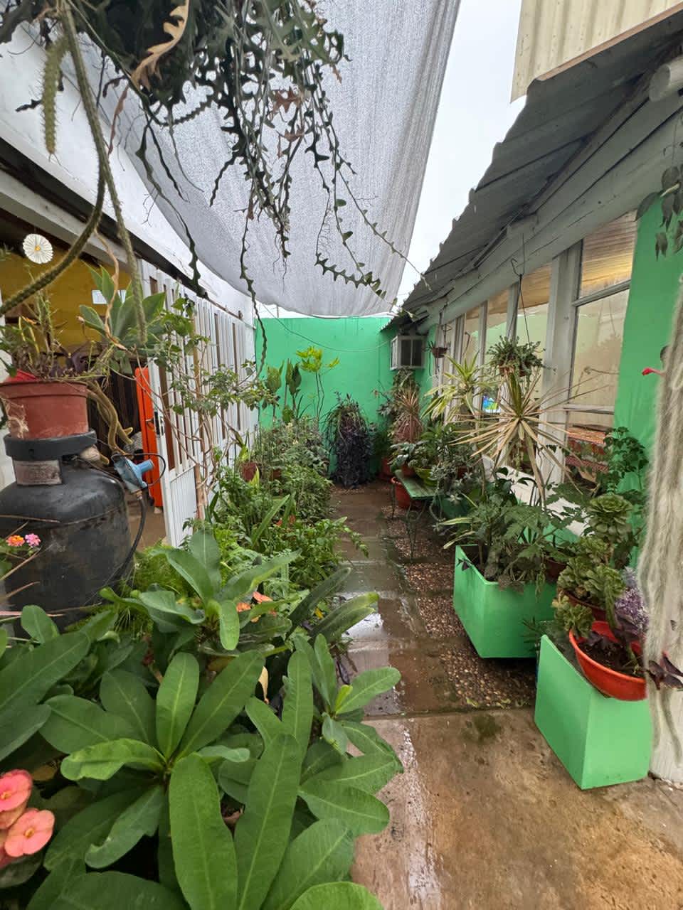 Casa en Compra/Venta