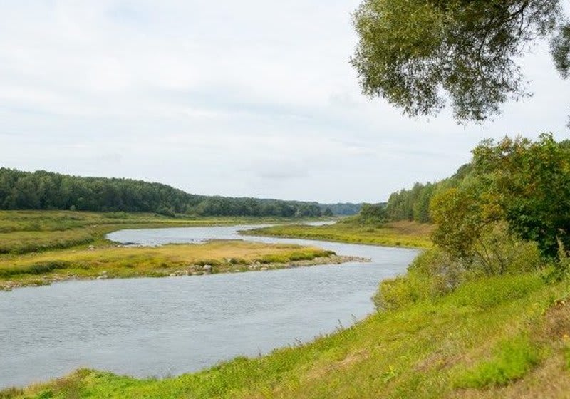Daugavas loki river 1