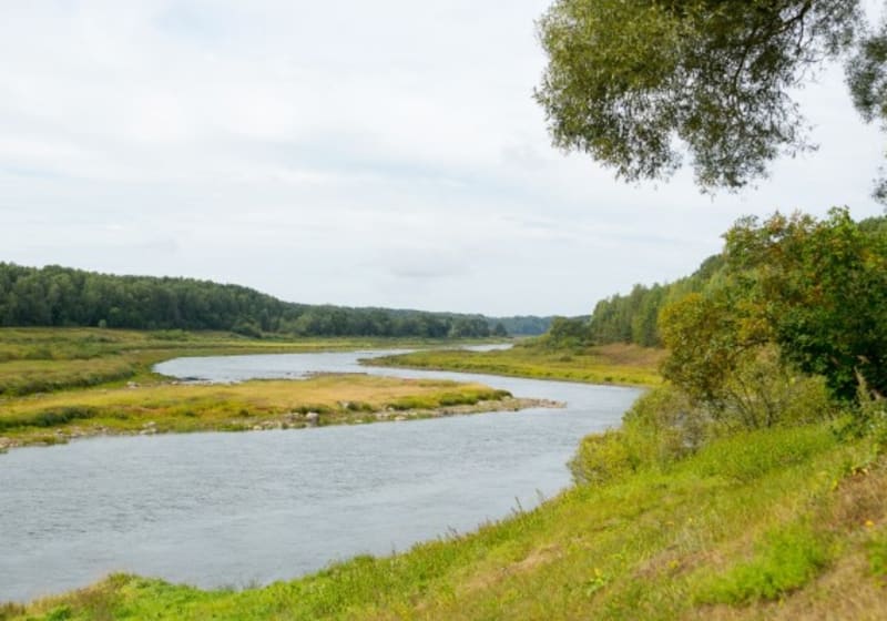 Daugavas loki river 3