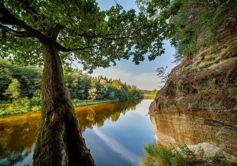 Gauja (Latgale) river 1