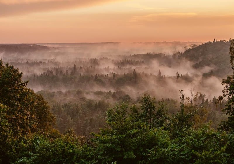 Gauja (Latgale) river 12