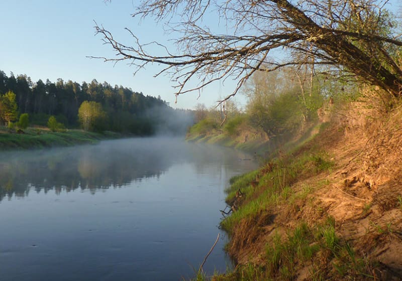 Gauja (Latgale) river 18