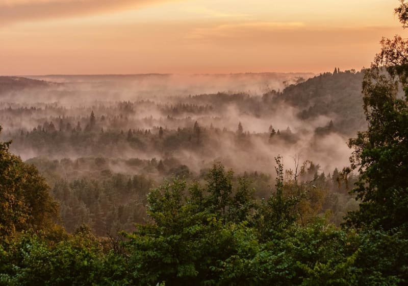 Gauja (Latgale) river 23
