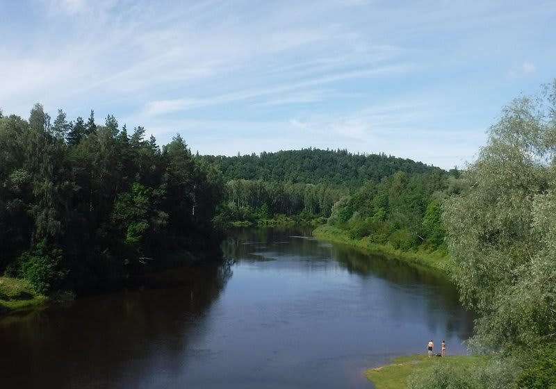 Gauja (Latgale) river 5