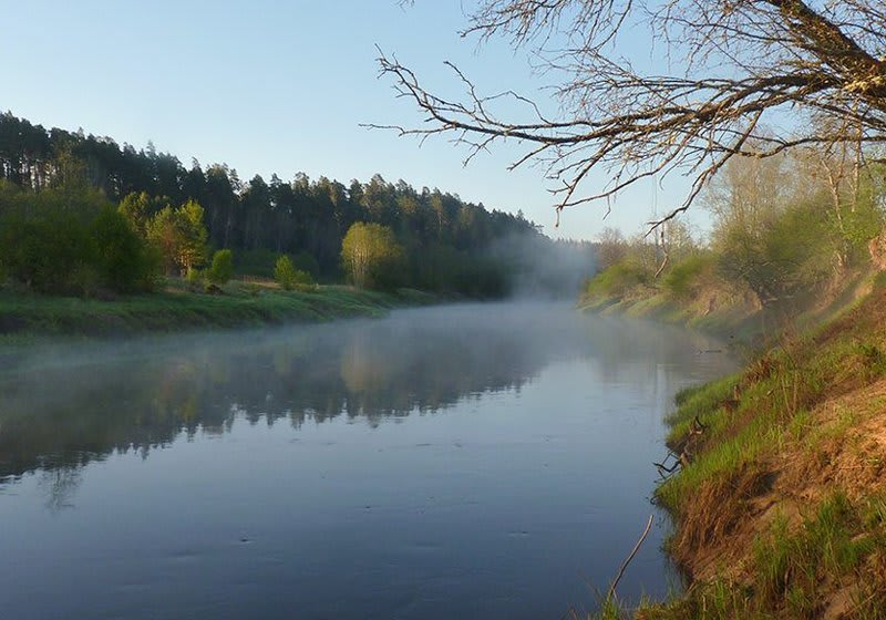 Gauja (Latgale) river 6