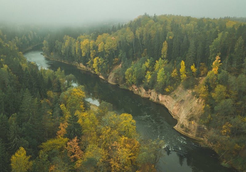 Gauja river 5