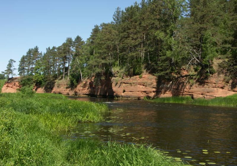 Salaca river 17