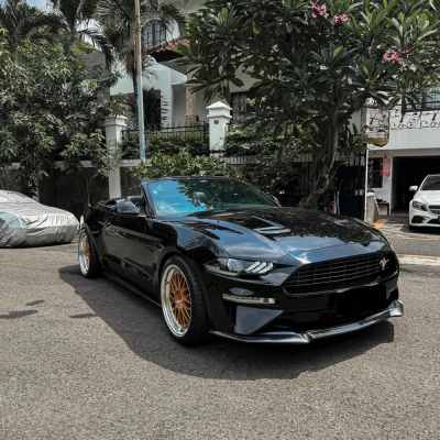 Mustang High Performance 2.3L turbo 10 speed Automatic 330hp 4cylinder