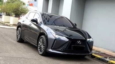 Lexus RZ 450 E Luxury Automatic