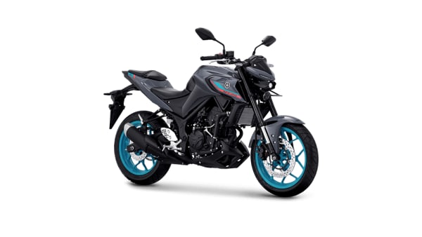 Yamaha MT25, Raja Torsi Motor Sport Naked 250cc