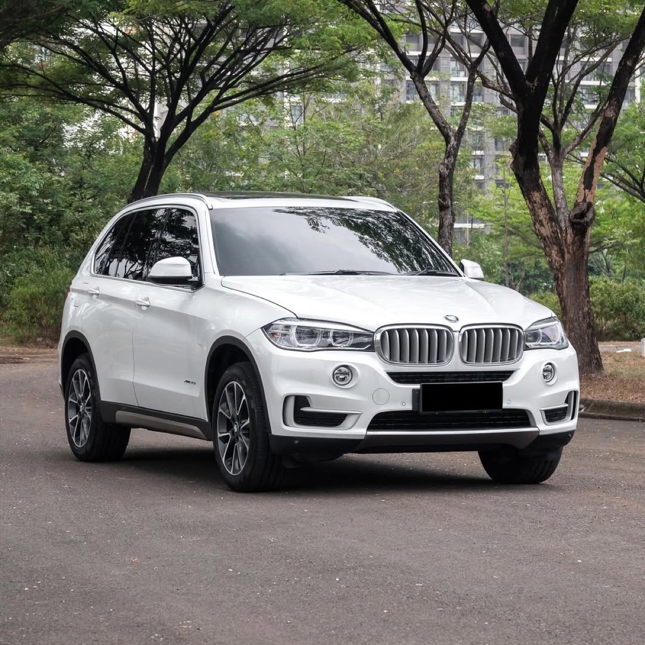 Bmw X5 xDrive35i xLine F15