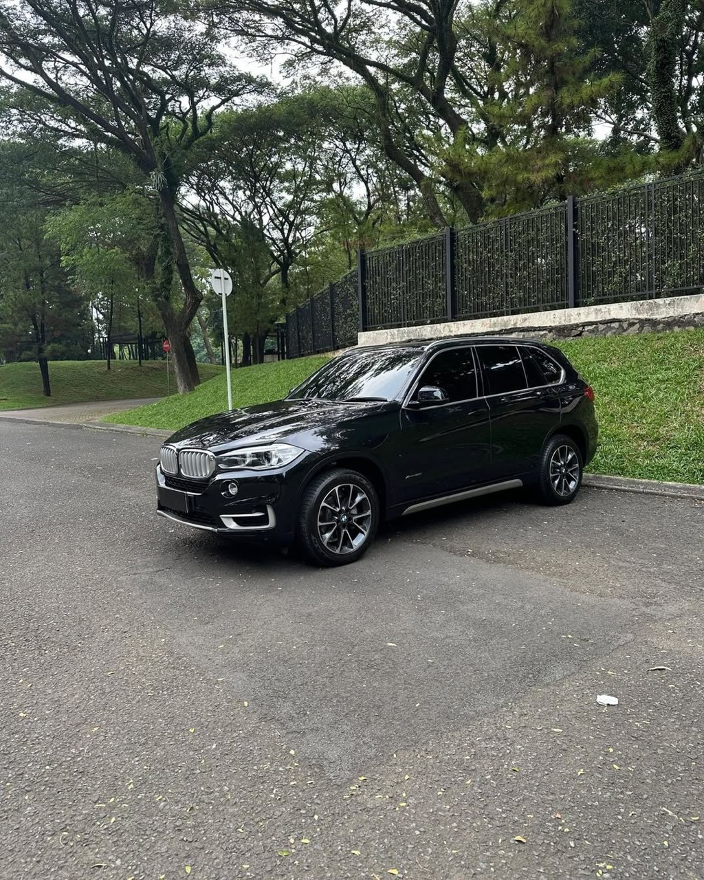 BMW X5 xDrive 35i F15 2019