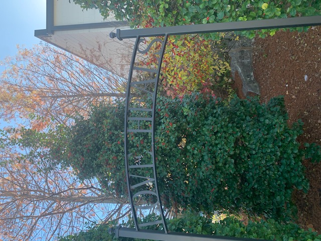 Thistle Farms "Love Heals" archway in autumn