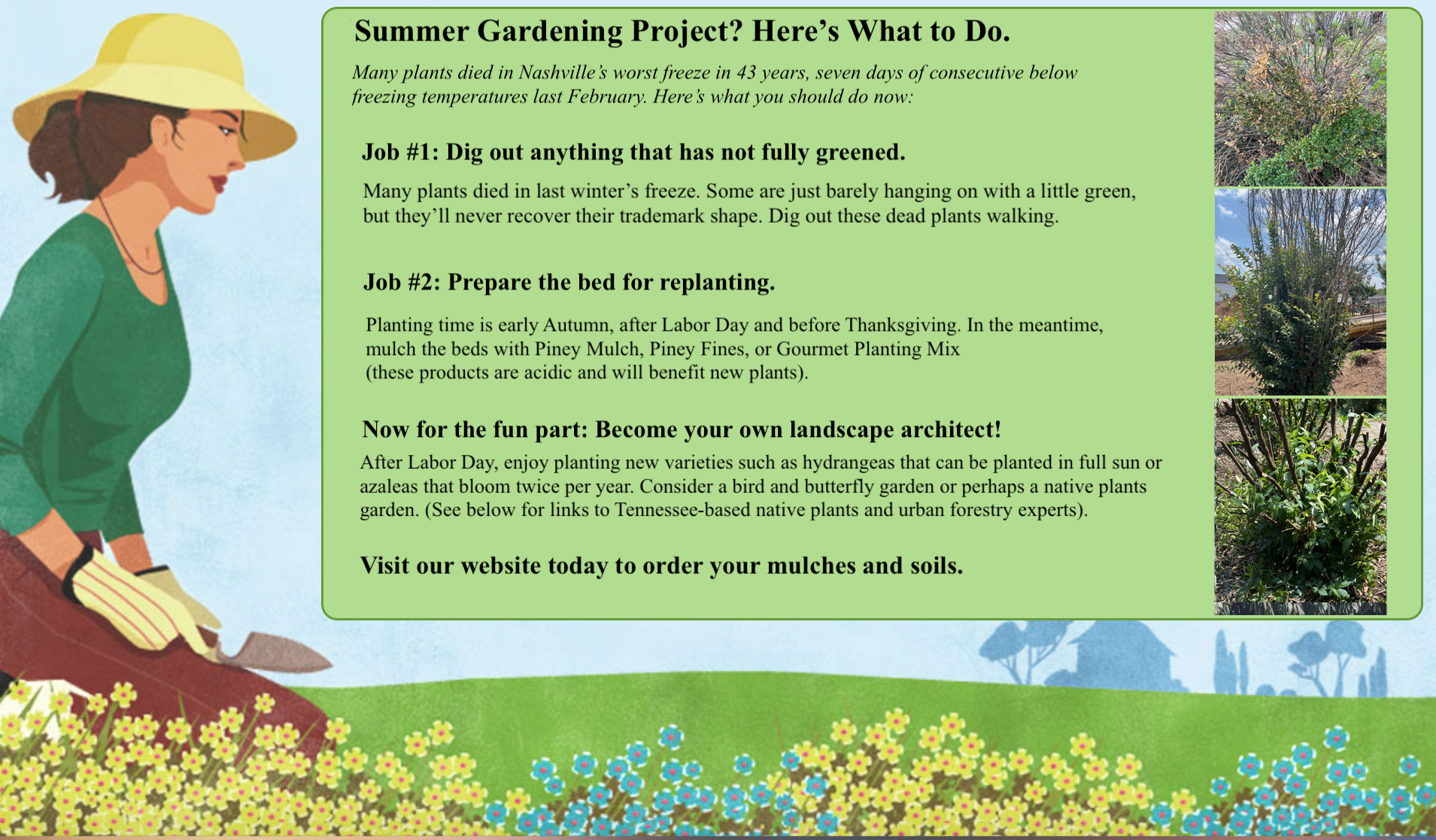 Summer Gardening Jobs Post-February Freeze