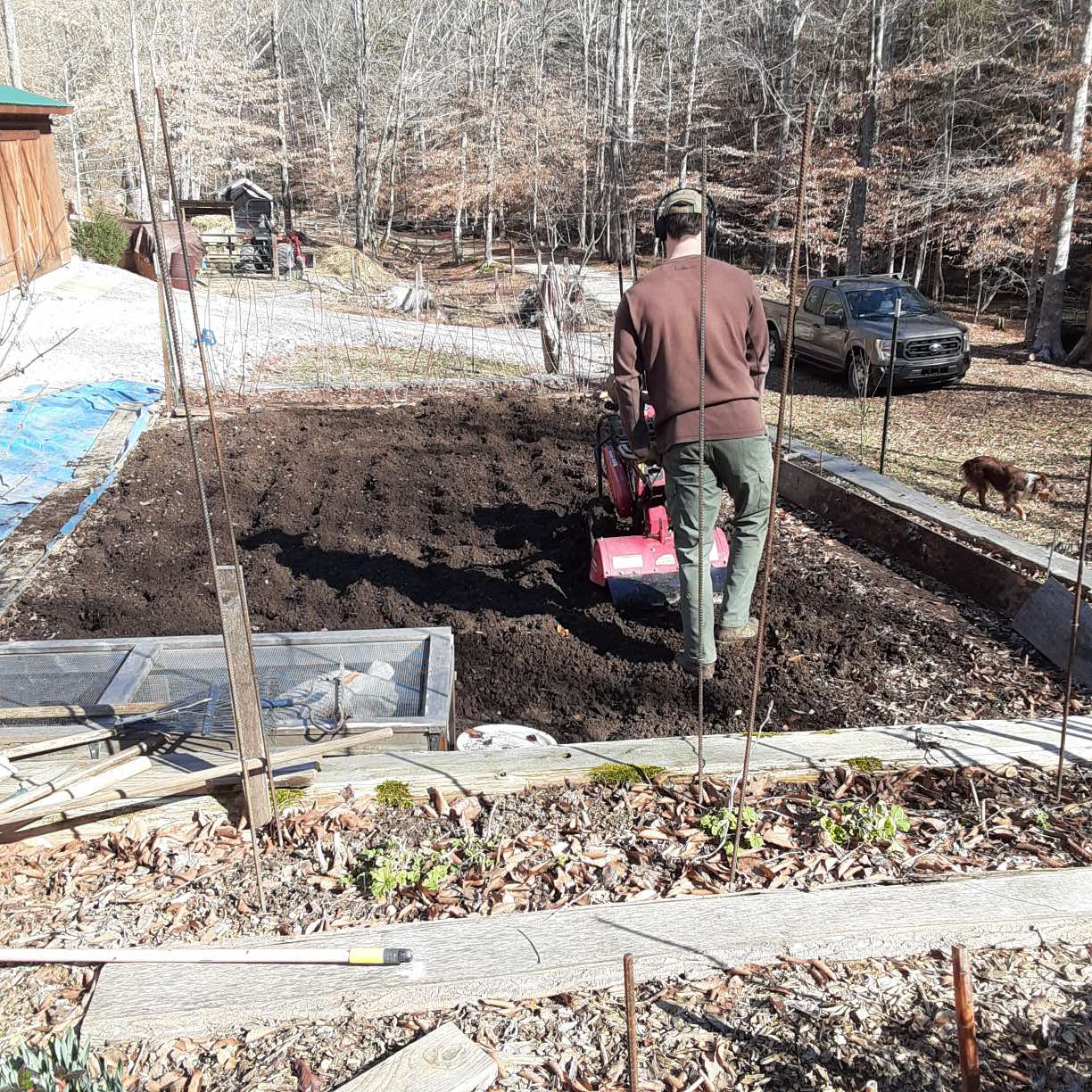 Choosing a soil