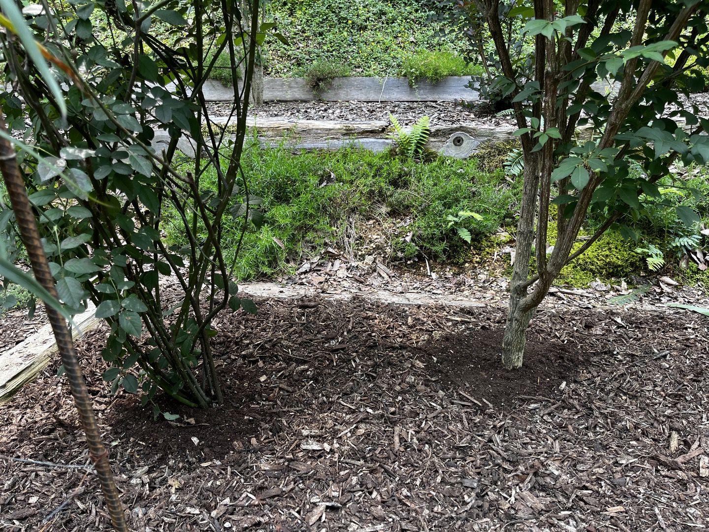 Summer soil amendment