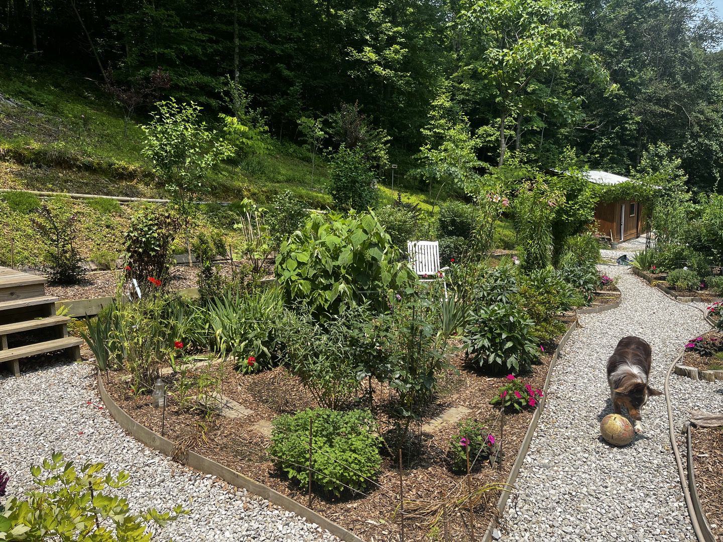 Walking paths and garden