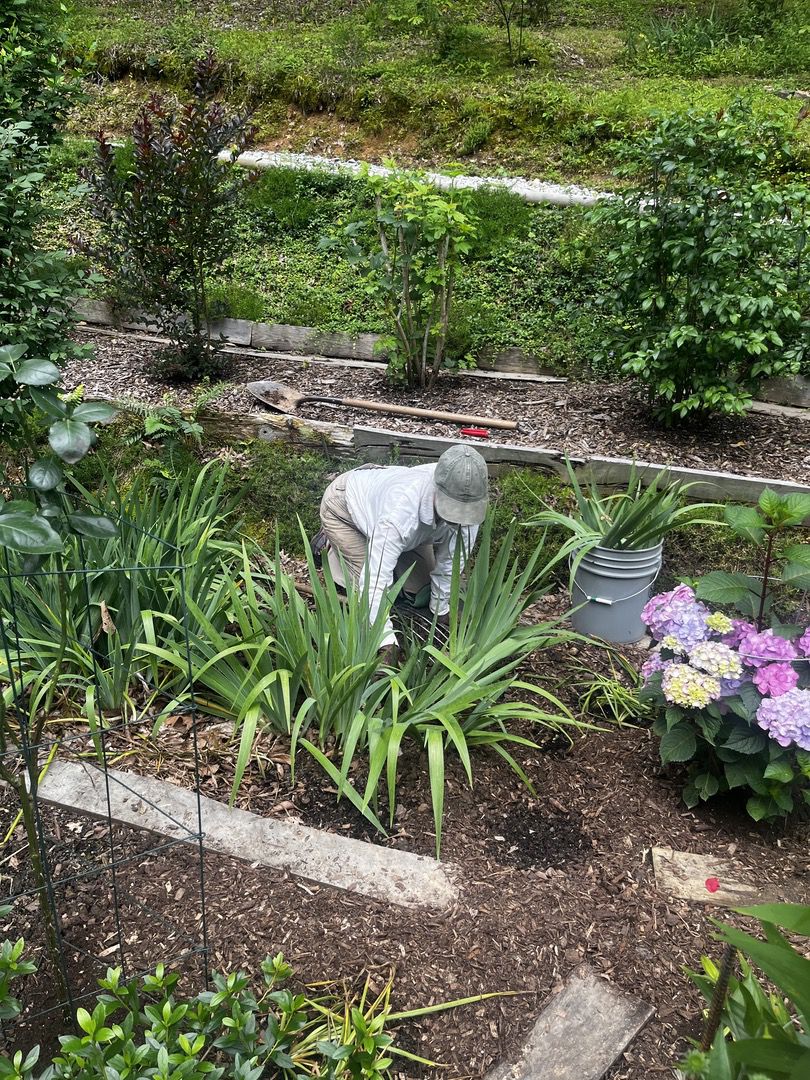 Working in the garden