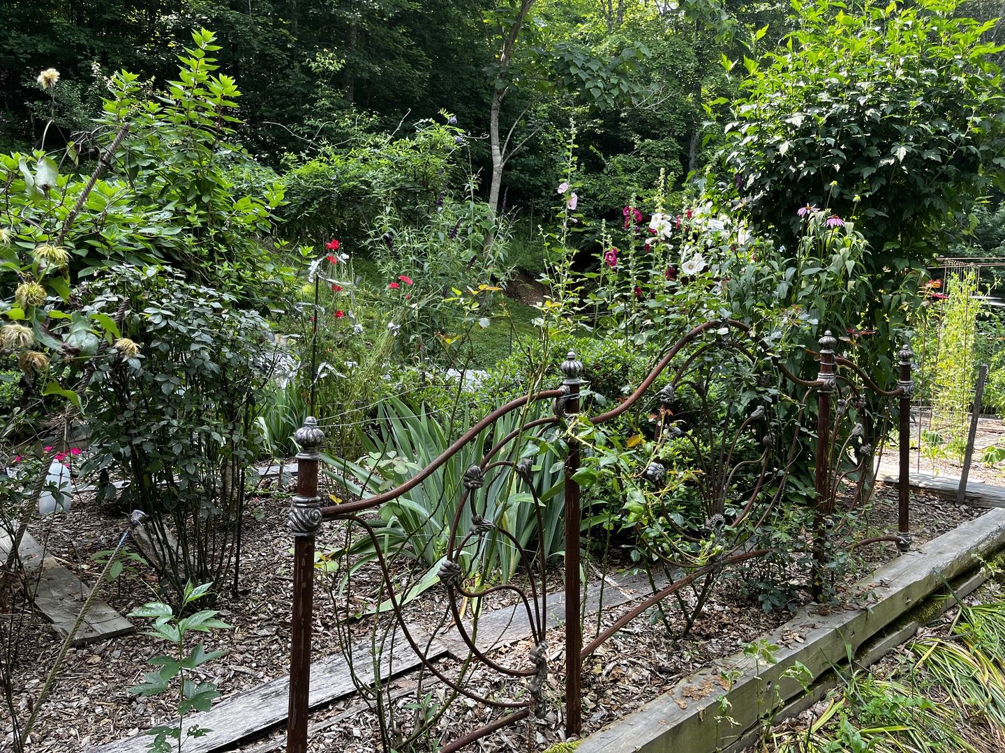 Secret garden in Tennessee