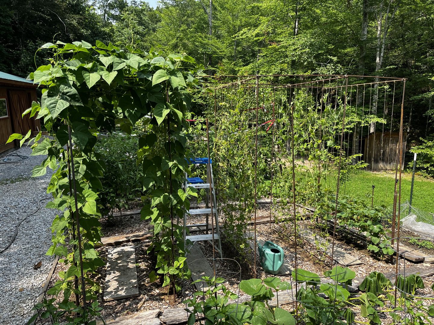 Walking paths in Tennessee garden